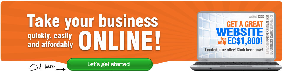 Take your business online in under 2 weeks!